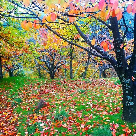 La Albarea By #Cherrygredos El Arenal  Ngoại thất bức ảnh