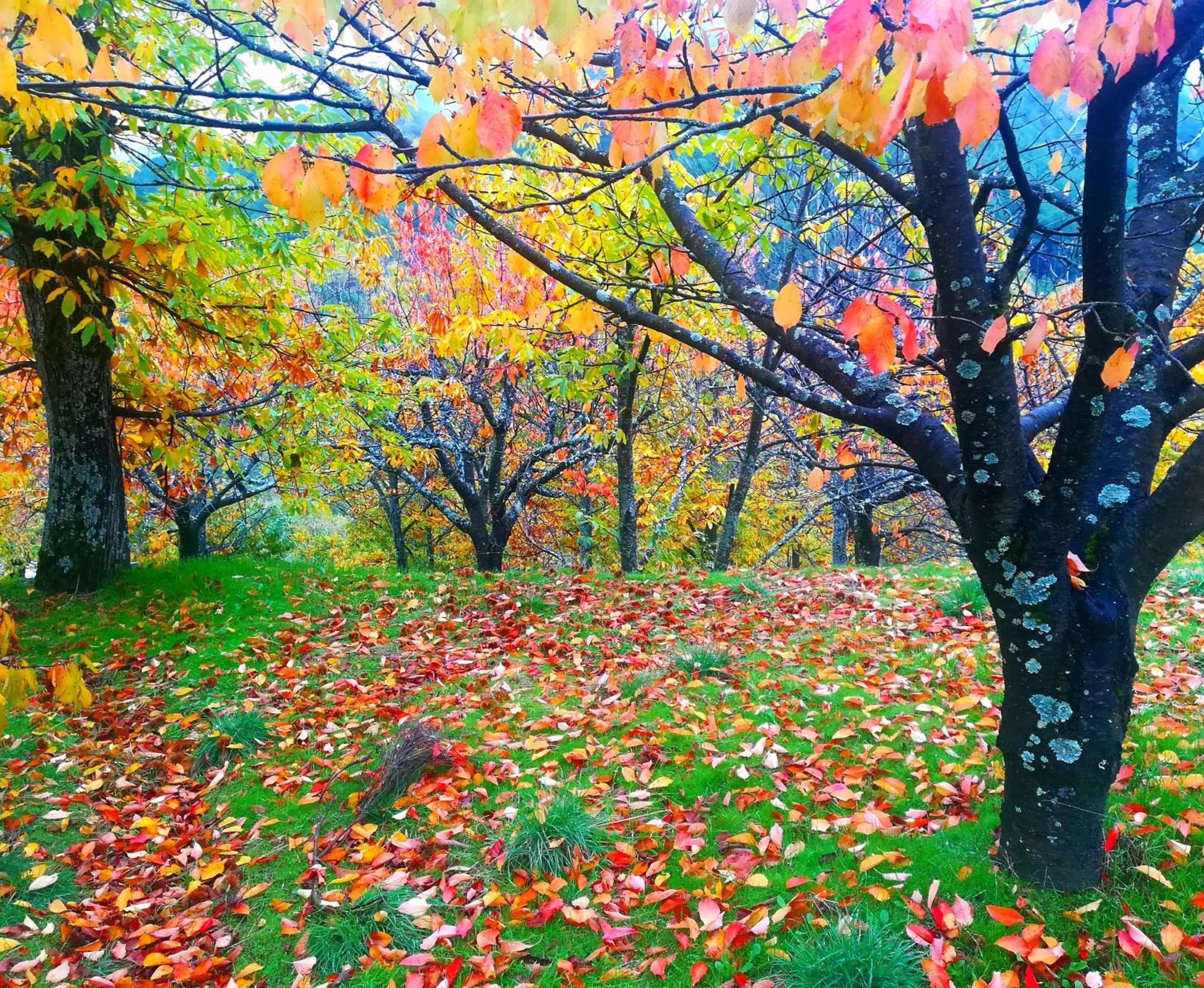 La Albarea By #Cherrygredos El Arenal  Ngoại thất bức ảnh