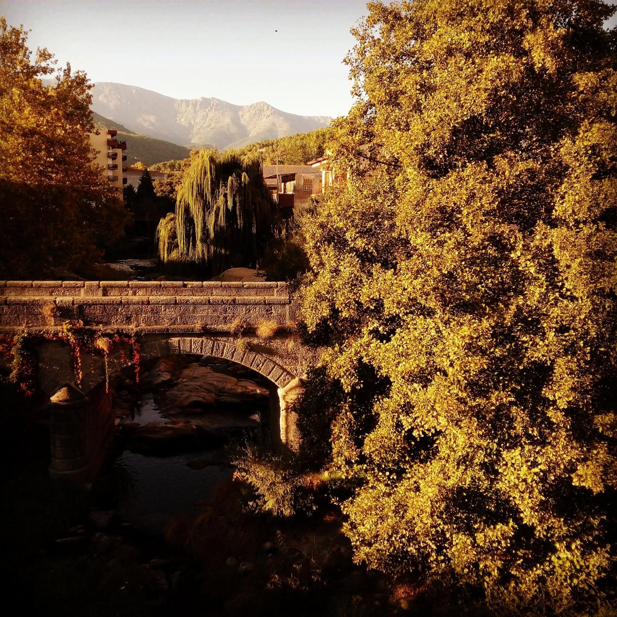 La Albarea By #Cherrygredos El Arenal  Ngoại thất bức ảnh