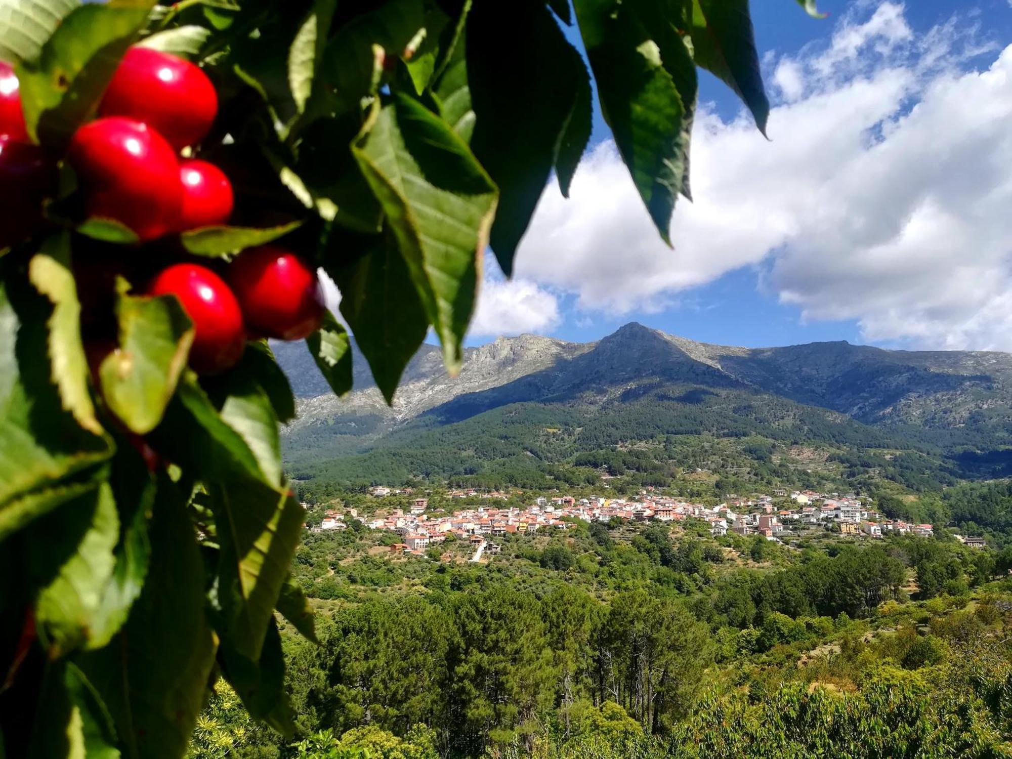 La Albarea By #Cherrygredos El Arenal  Ngoại thất bức ảnh