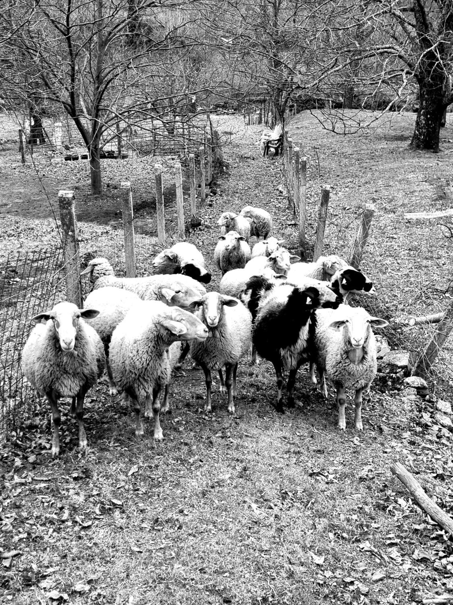 La Albarea By #Cherrygredos El Arenal  Ngoại thất bức ảnh