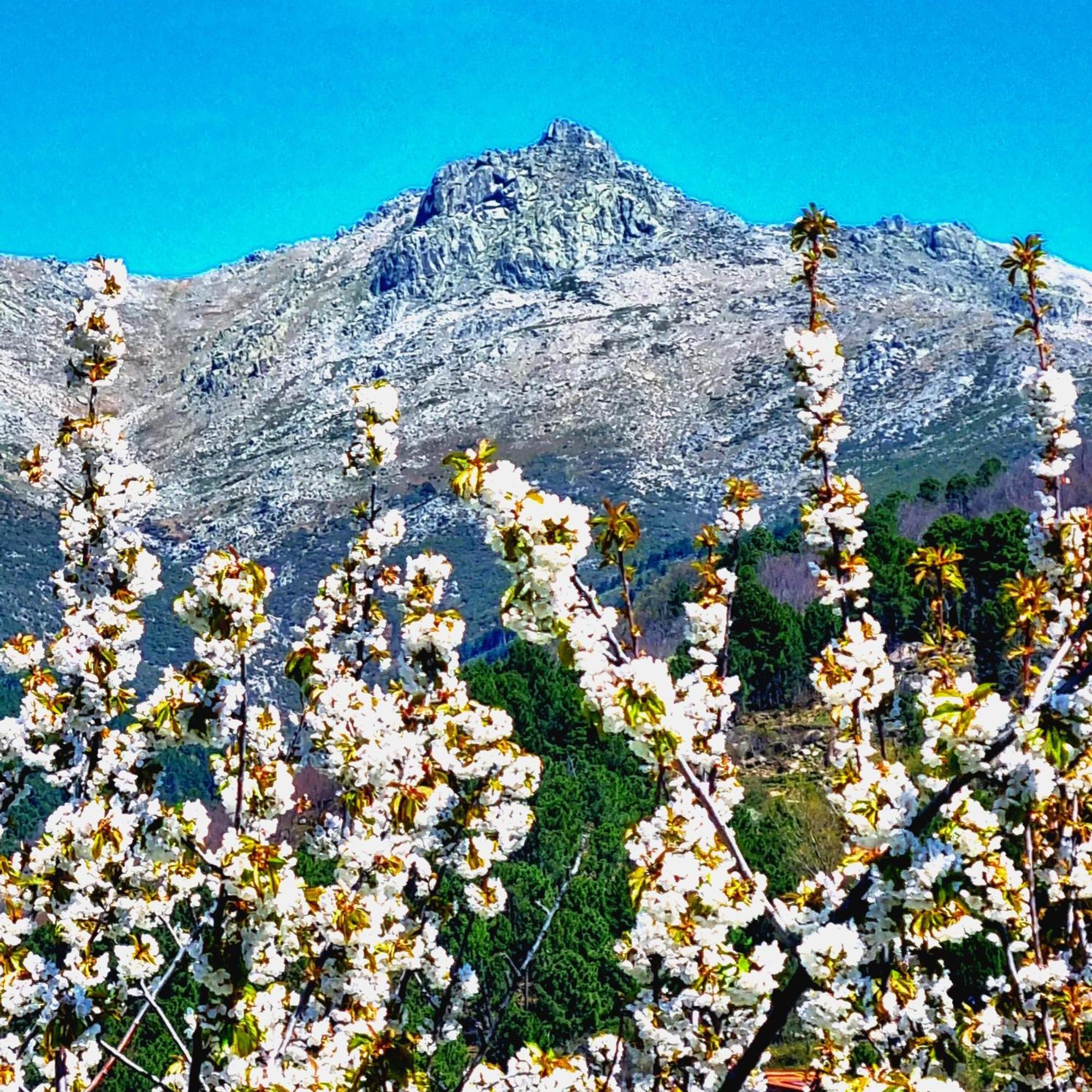 La Albarea By #Cherrygredos El Arenal  Ngoại thất bức ảnh